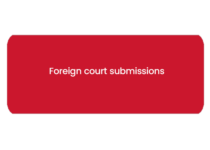 Foreign court submissions