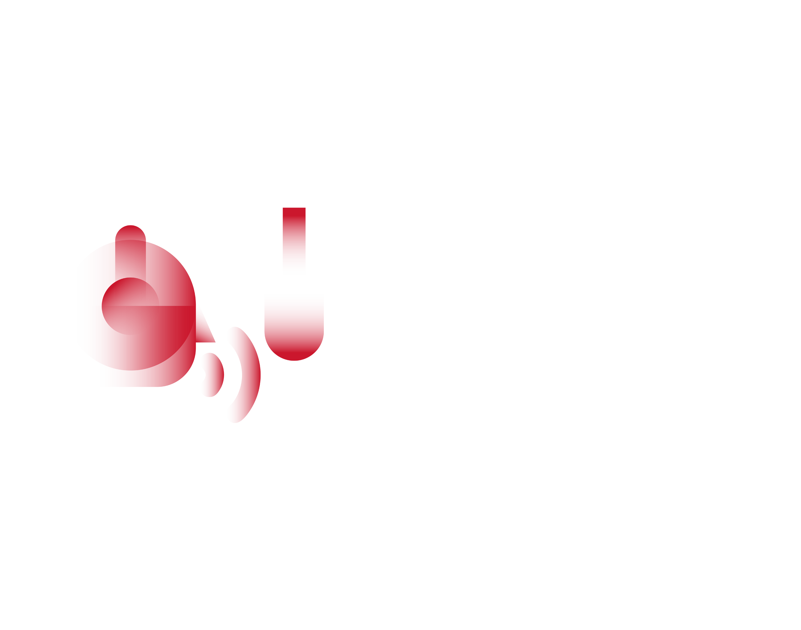 Voice-Over