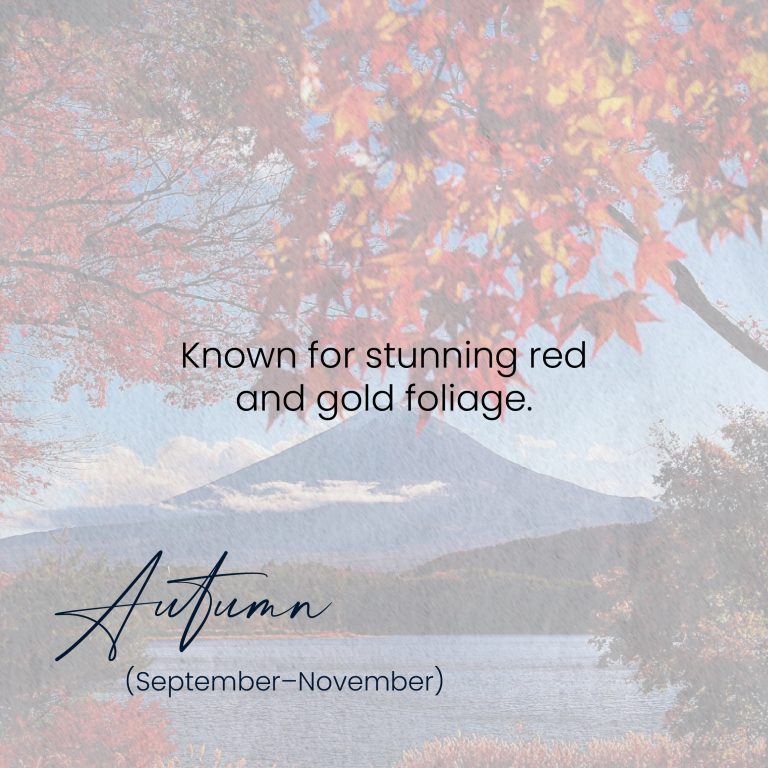 A social media graphic about autumn in Japan. The image shows a scenic view of a mountain (likely Mount Fuji) and a lake, framed by the vibrant red and gold leaves of autumn trees. The text on the image reads: "Known for stunning red and gold foliage." Below this, the word "Autumn" is written in a cursive font, with the dates "(September–November)" underneath.
