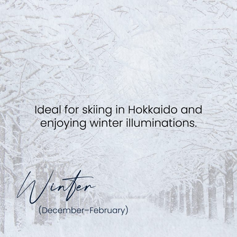 A social media graphic describing winter in Japan. The background is a blurry photo of a snowy path lined with trees with heavy snow on their branches. The text on the image reads: "Ideal for skiing in Hokkaido and enjoying winter illuminations." Below this, the word "Winter" is written in a cursive font, with the dates "(December–February)" underneath.