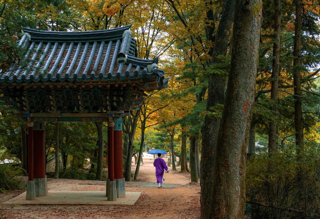 Korean culture and folk village.